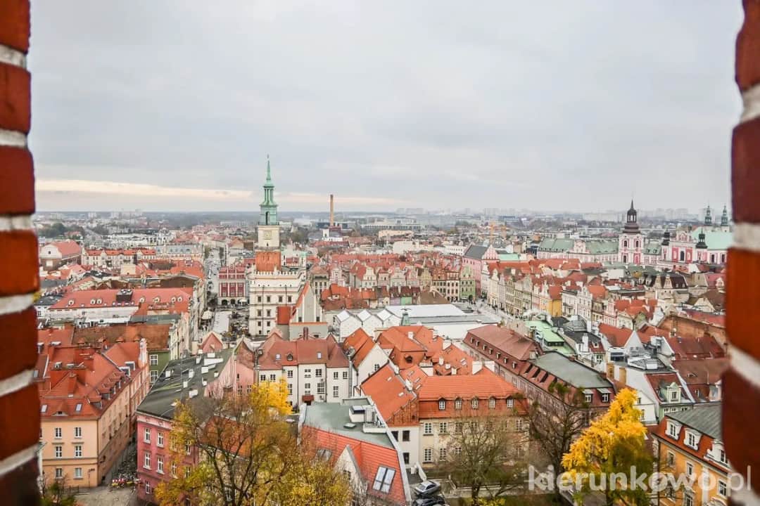 Muzeum Sztuk Użytkowych w Poznaniu: Zamek, design, wieża i darmowy wtorek