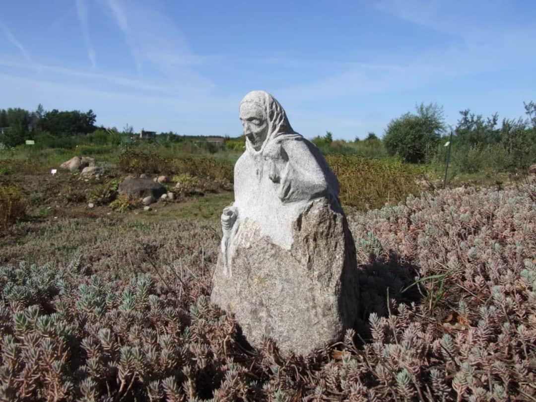 Rzeźba w kamieniu polnym: Od głazu do dzieła. Twój poradnik